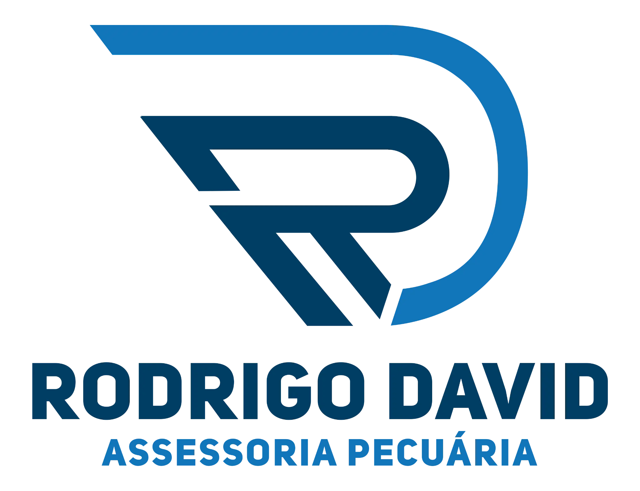 Rodrigo David Assessoria